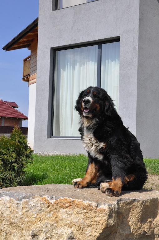 Villa Swiss Săcele Εξωτερικό φωτογραφία