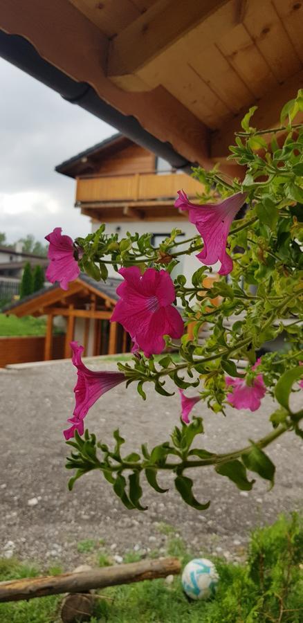 Villa Swiss Săcele Εξωτερικό φωτογραφία