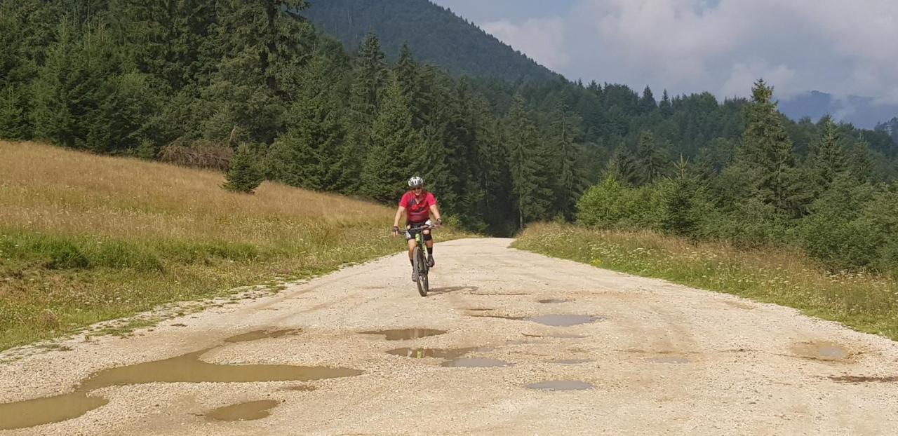 Villa Swiss Săcele Εξωτερικό φωτογραφία