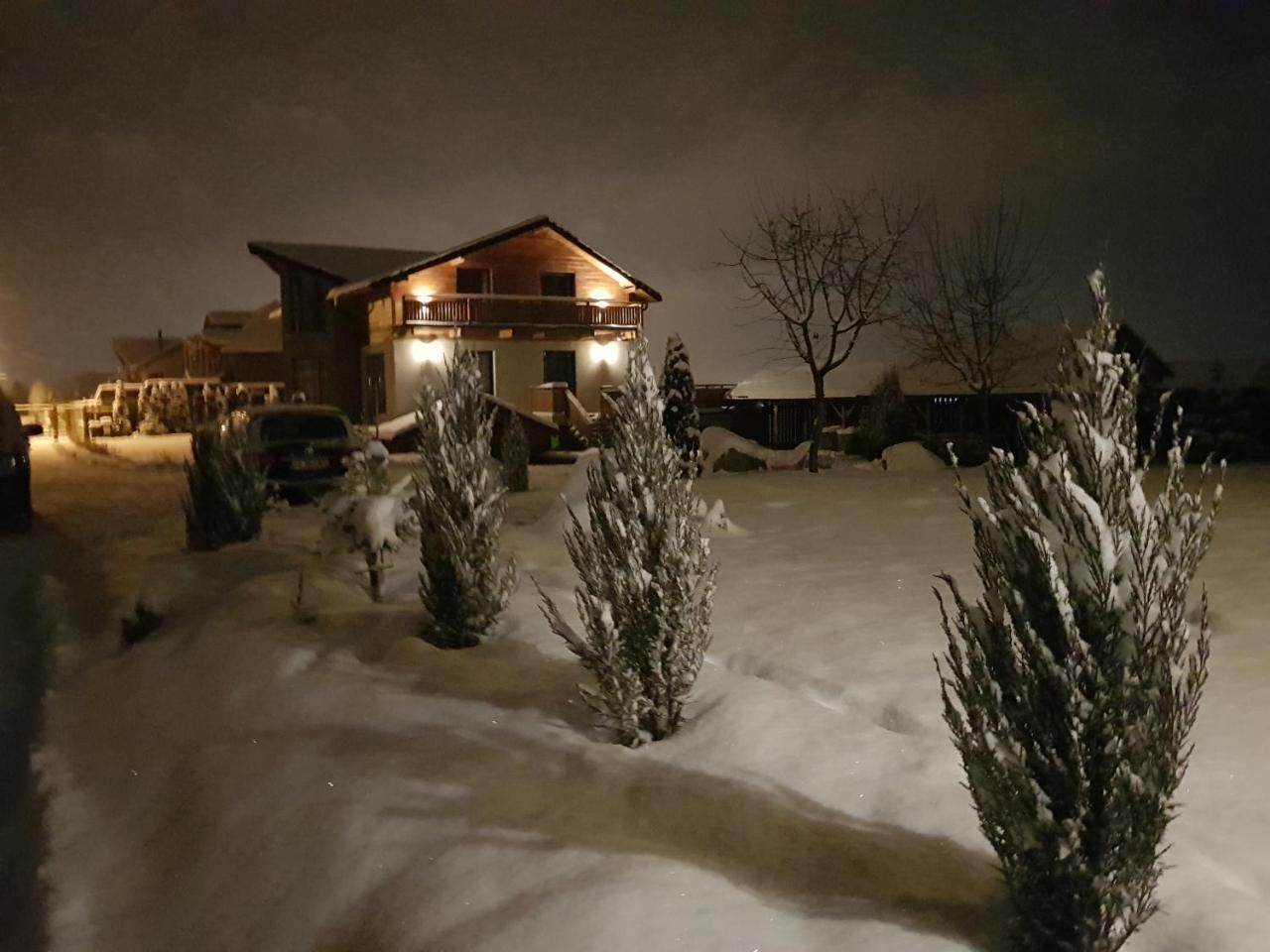 Villa Swiss Săcele Εξωτερικό φωτογραφία