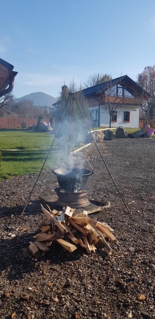 Villa Swiss Săcele Εξωτερικό φωτογραφία