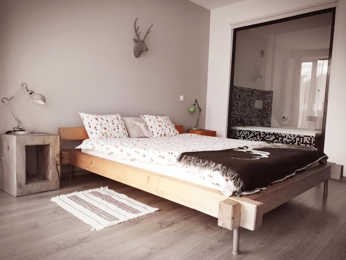 Villa Swiss Săcele Εξωτερικό φωτογραφία